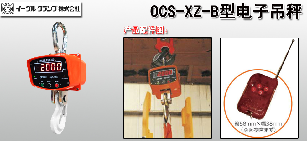 OCS XZ B电子吊秤